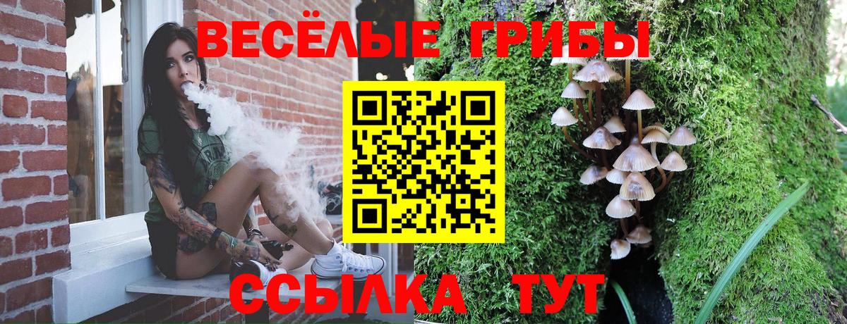 Димитровград  Псилоцибиновые грибы Psilocybine cubensis  Вход с VPN  Галлюциногенные грибы MAGIC MUSHROOMS 